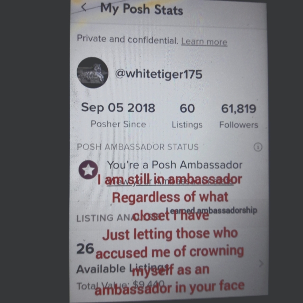 Publicly accused of lying about being an ambassador